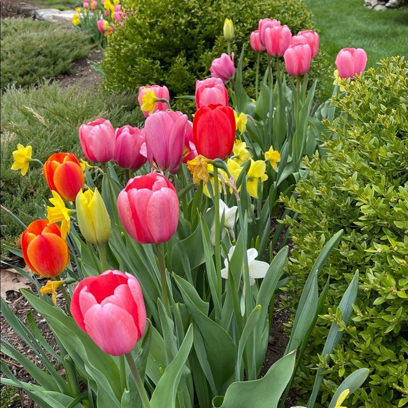 Meet your Posher, MrsPeck - Picture 2 of 6